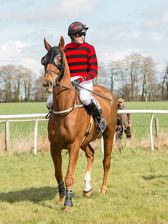 Race 2 - Confined Hunts Race (29 of 87).jpg