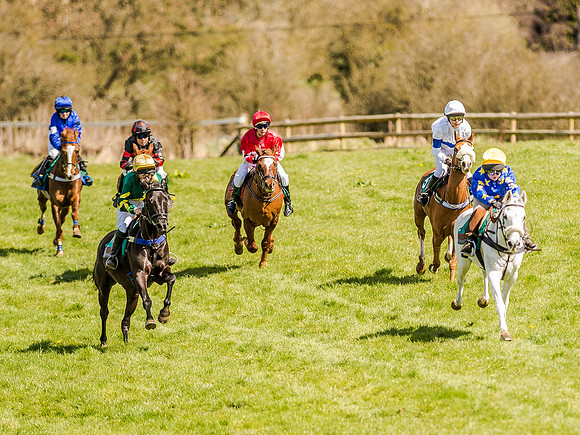 Pony Races (30 of 127).jpg