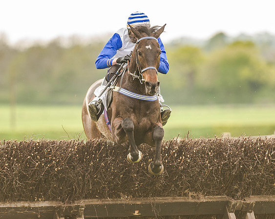 Race 7 - Hunt Members (73 of 106).jpg