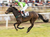 Race 6 - Open Maiden (17 of 110).jpg