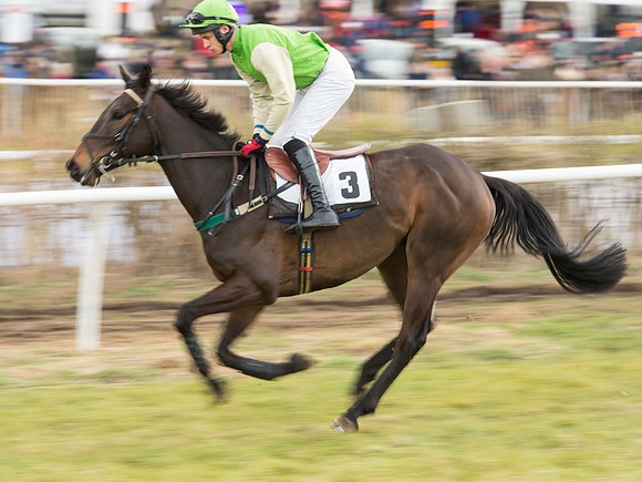 Race 6 - Open Maiden (17 of 110).jpg