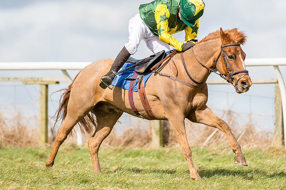 Pony Race 1 - 138cm  (48 of 57).jpg