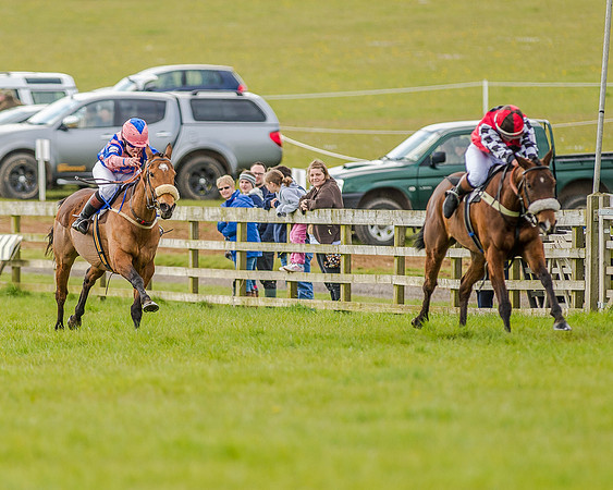 Pony Race 3 (30 of 78).jpg
