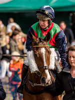 Race 5 - The Southern Grand national (15 of 96).jpg