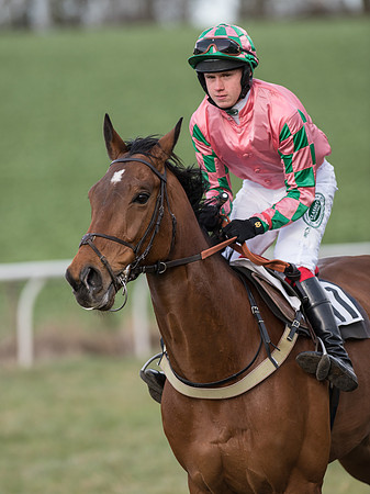 Race 6 - Open Maiden (34 of 110).jpg