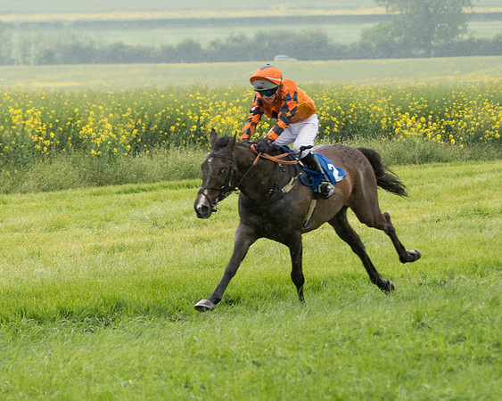 Pony Race 2 (67 of 113)