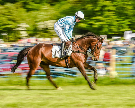 Race 7 - Div 1 - Open Maiden (26 of 94).jpg