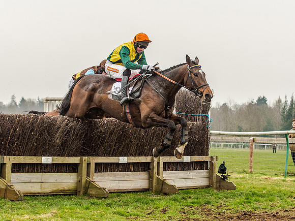 Race 5 - Open Maiden Division 2 (73 of 112).jpg