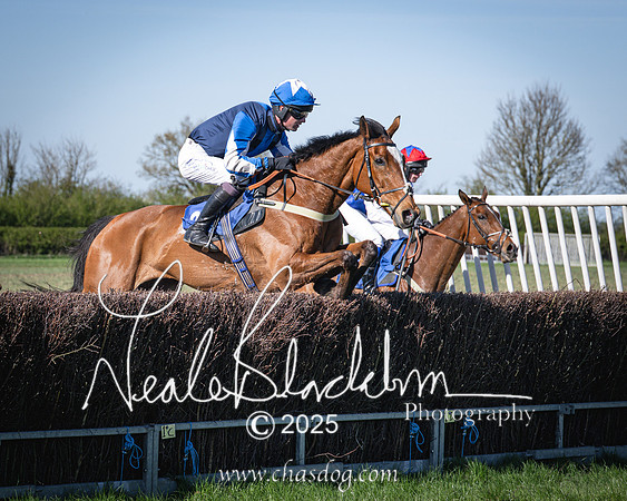 Race 6 - Veteran horse (69 of 109)