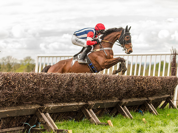 Race 3 - Young Horse maiden 2m5f (93 of 124).jpg