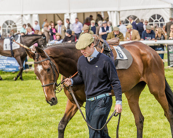 Race 4 - PPORA Novice Riders (20 of 196).jpg