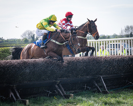Race 5 - The 5G Restricted Race (15 of 56)