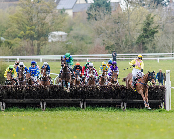 Race 2 - Open Maiden  (95 of 170).jpg
