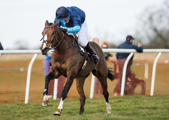 Pony Race 2 - 148cm -43