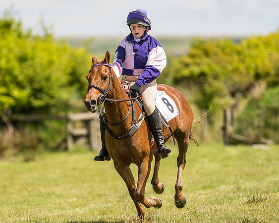 Pony Race 2  (27 of 33).jpg