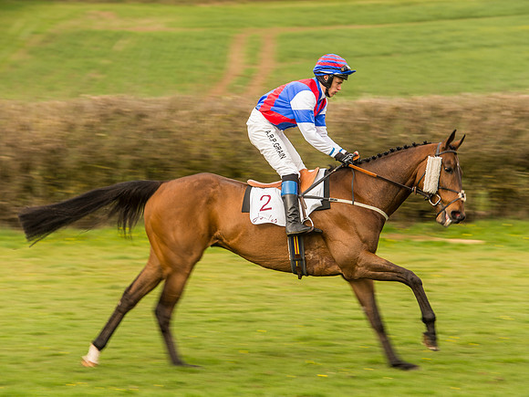 Race 6 - Open Maiden Division 1  (48 of 133).jpg