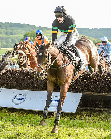 Race 7 - Div 1 - Open Maiden (57 of 94).jpg