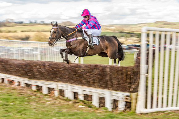 Race 6 - The Restricted Race [Nov-Vet] (38 of 84).jpg