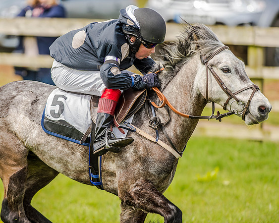 Pony Race 1  (48 of 65).jpg