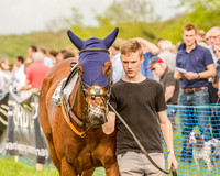 Race 6 - Open Maiden (3 of 130).jpg