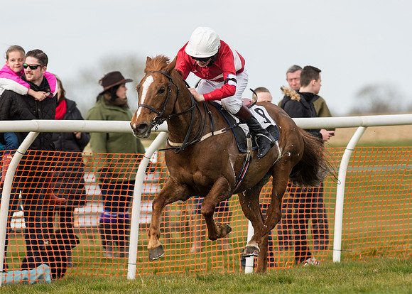 Pony Race 1 - 138cm -80