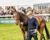 Race 4 - PPORA Novice Riders (19 of 196).jpg