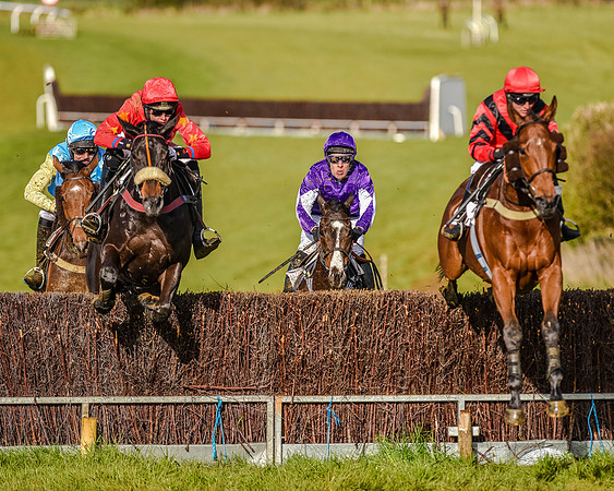 Race 7 - PPORA Club Members for Novice Riders (48 of 81).jpg