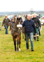 Pony Race 1 - 138cm -1