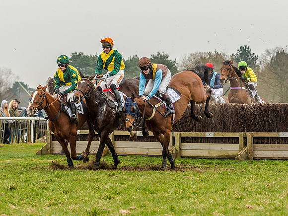 Race 5 - Open Maiden Division 2 (60 of 112).jpg