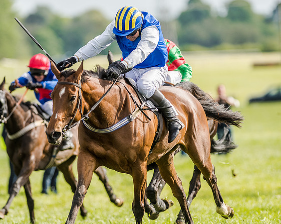Race 5 - Division 2 - Restricted Race (71 of 105).jpg