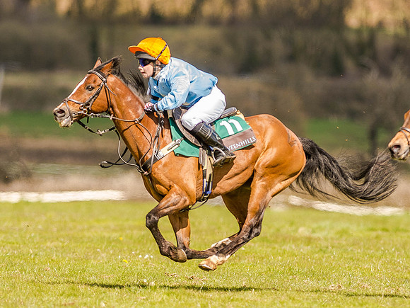 Pony Races (69 of 127).jpg