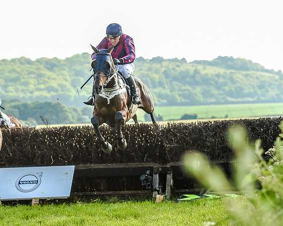 Race 7 - Div 1 - Open Maiden (44 of 94).jpg