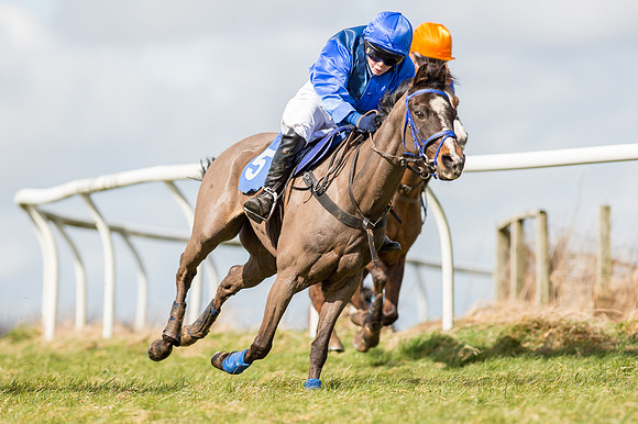Pony Race 1 - 138cm  (22 of 57).jpg