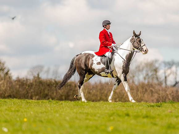 Pony Races (52 of 127).jpg