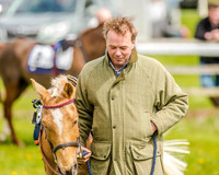 Pony Race 2 (4 of 77).jpg