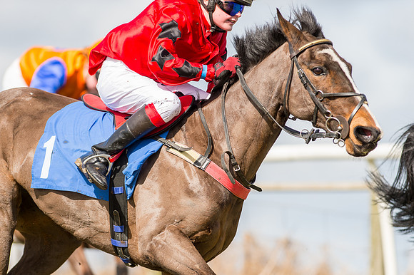 Pony Race 1 - 138cm  (28 of 57).jpg