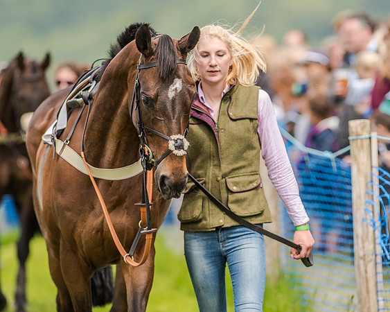 Race 2 - PPORA Members Novice Riders  (9 of 112).jpg