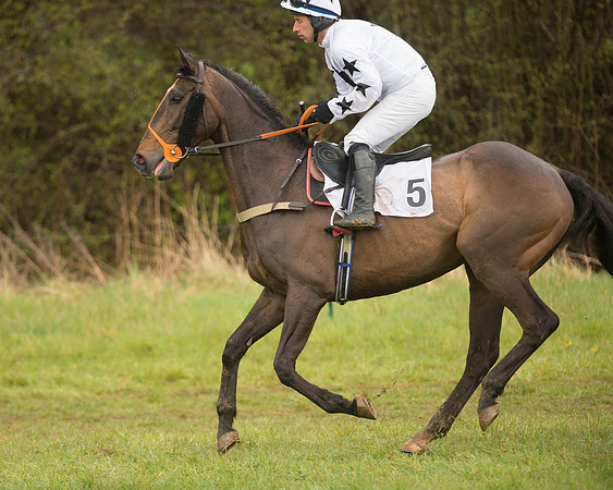 Race 5 - Open Maiden (38 of 147).jpg