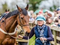 Race 2 - TBA Club Members Race for Mares and Fillies (7 of 108).jpg
