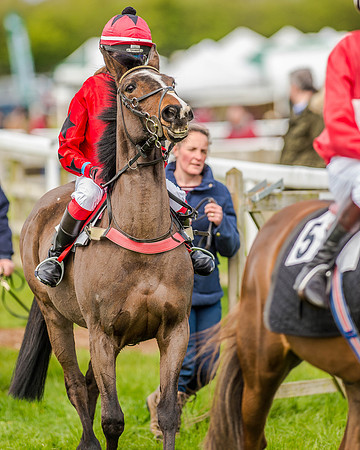 Pony Race 2 (24 of 77).jpg