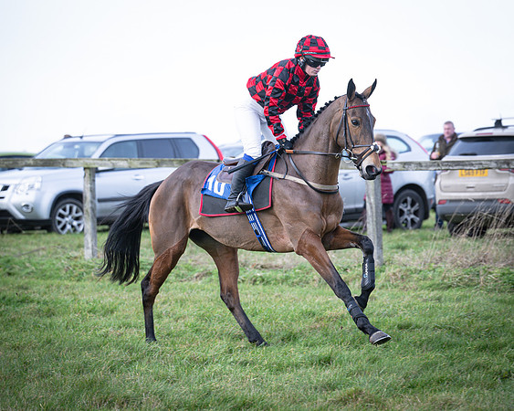Race 2 - Maiden (43 of 145)