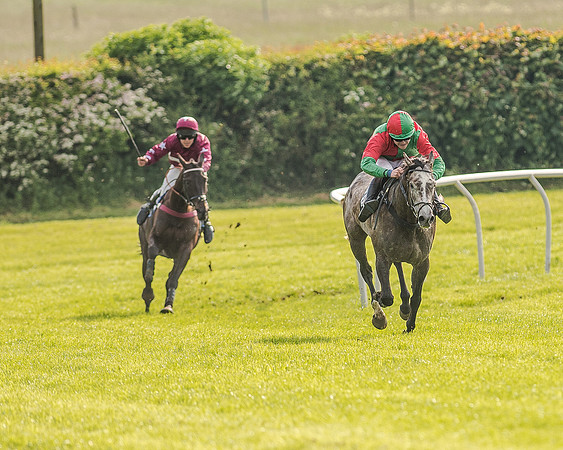 Race 7 - Div 1 - Open Maiden (62 of 94).jpg