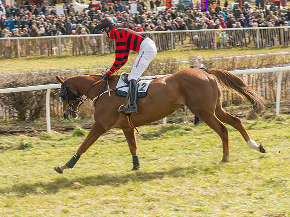 Race 2 - Confined Hunts Race (25 of 87).jpg