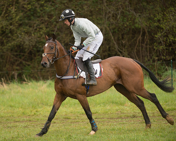 Race 5 - Open Maiden (41 of 147).jpg