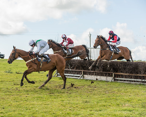 Race 5 - Intermediate Race (45 of 47).jpg
