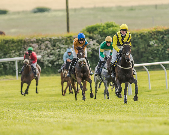 Race 7 - Div 2 - Open Maiden (71 of 163).jpg