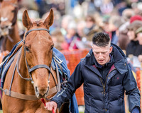 Race 3 - SEHC Members Conditions (15 of 132).jpg