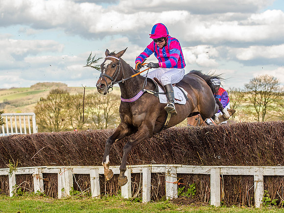 Race 6 - The Restricted Race [Nov-Vet] (46 of 84).jpg