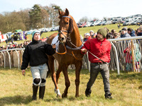 Race 2 - Confined Hunts Race (3 of 87).jpg