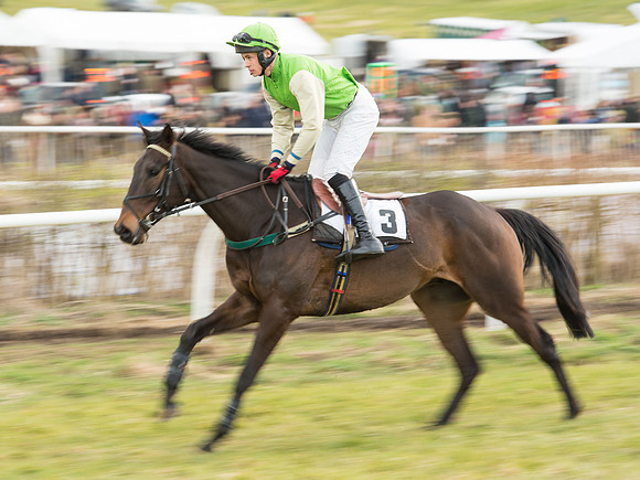 Race 6 - Open Maiden (16 of 110).jpg